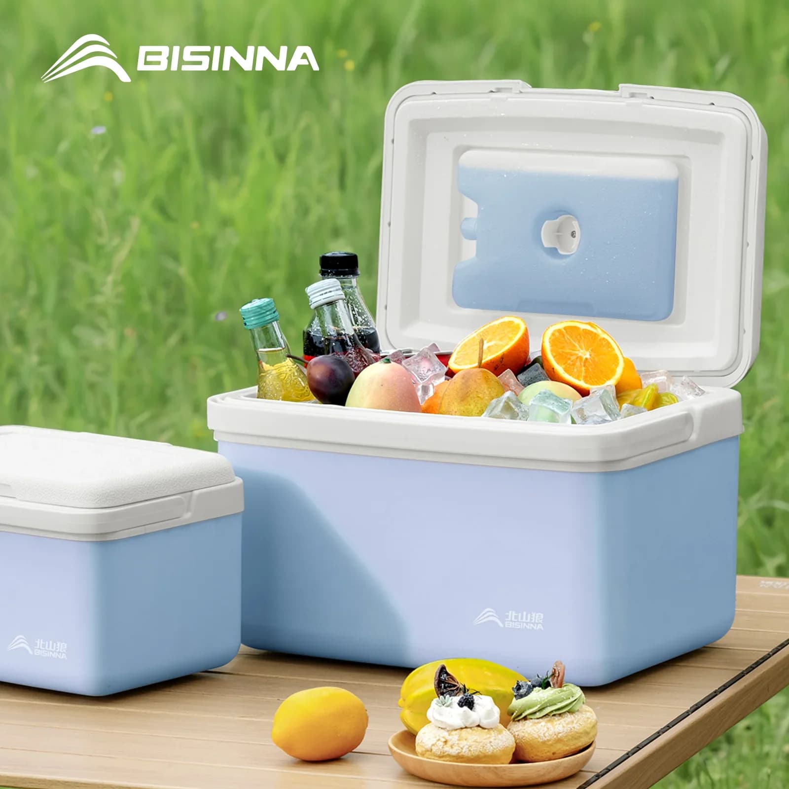 علبة ثلج BISINNA للتخييم 6L/9L/15L، صندوق تبريد محمول للصيد، ثلاجة سيارة، للشاطئ والصيد والنزهات والشواء، دلو ثلج